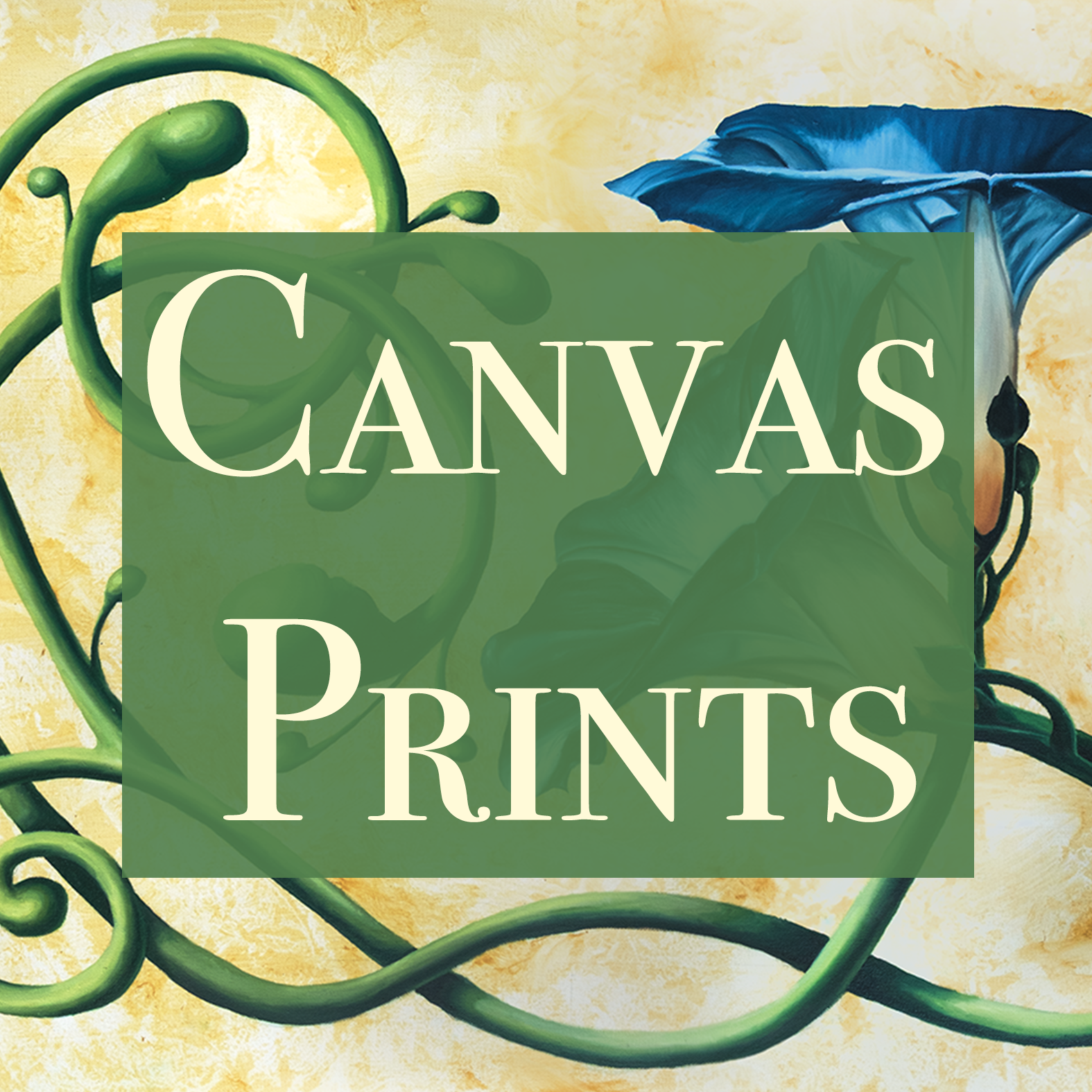 Canvas Prints