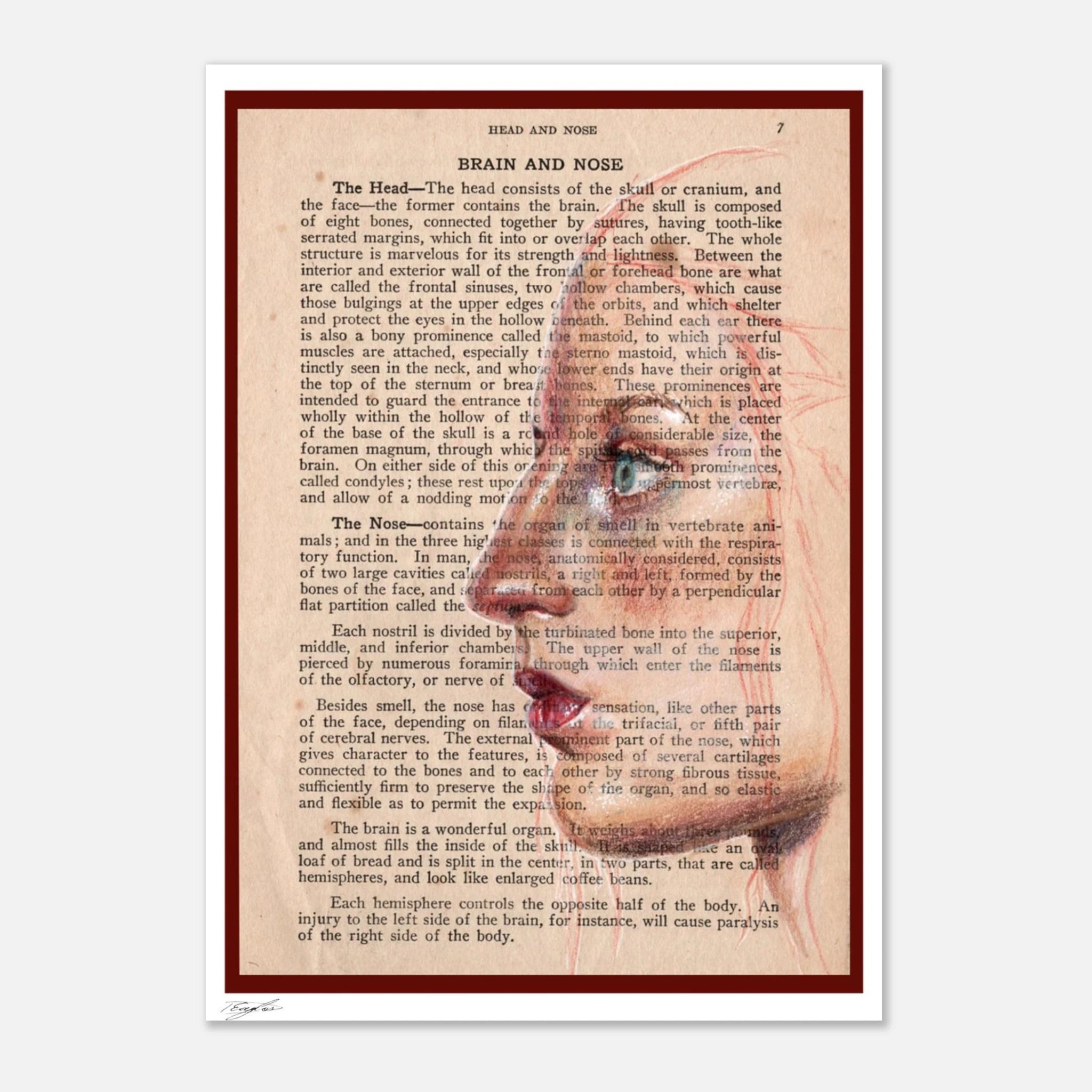 2804023b-754a-4945-8e67-2e1370101d51