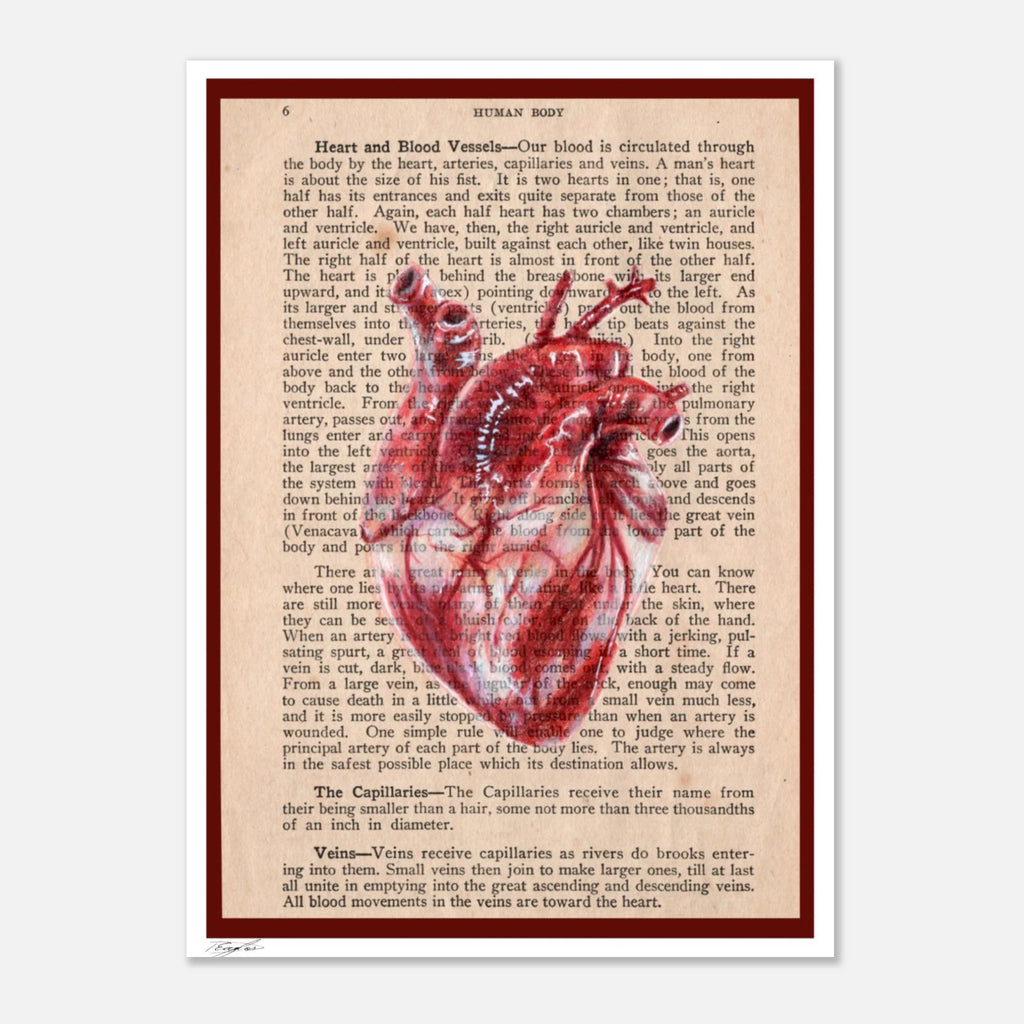 5ef00aa0-19d1-4c59-8a5f-d1b5112491ef