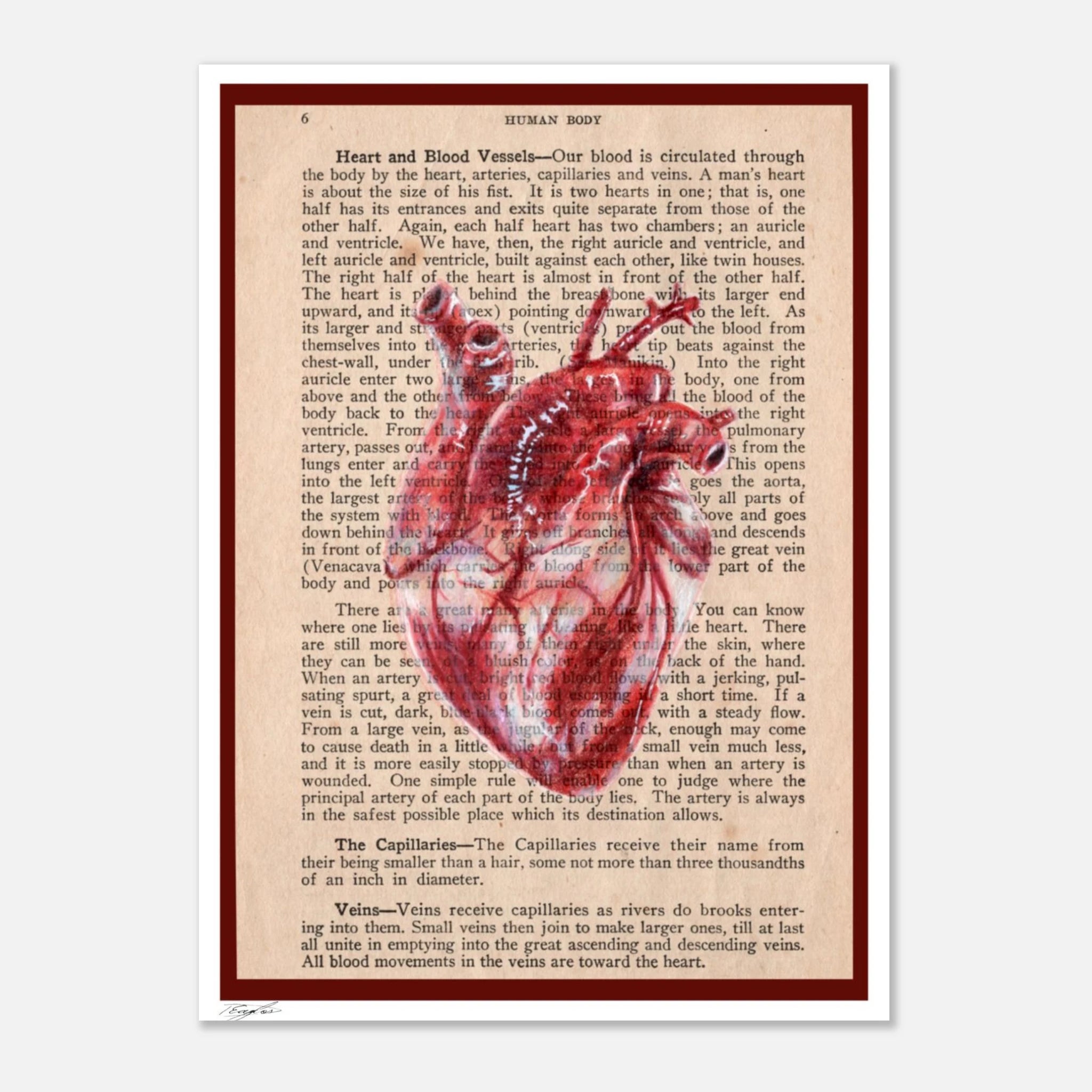 5ef00aa0-19d1-4c59-8a5f-d1b5112491ef