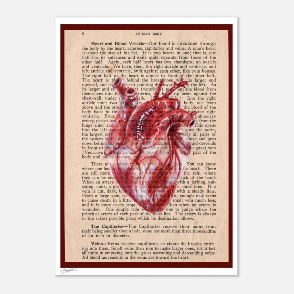 6208d807-4c5f-42dd-9a68-eb8285a8b206