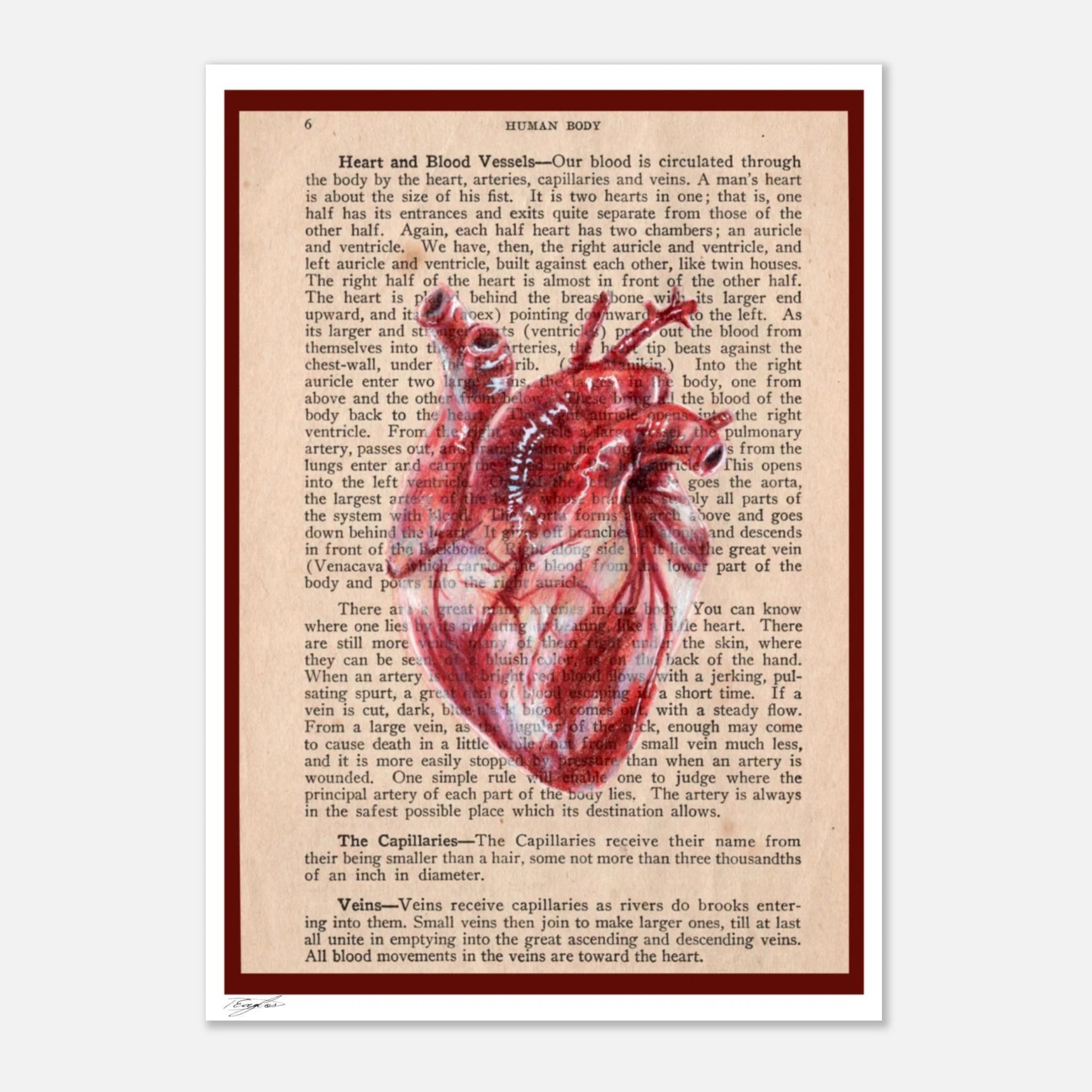 6208d807-4c5f-42dd-9a68-eb8285a8b206