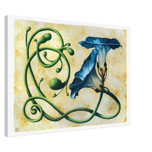 98c09200-2544-4650-817d-5b0b983b8506