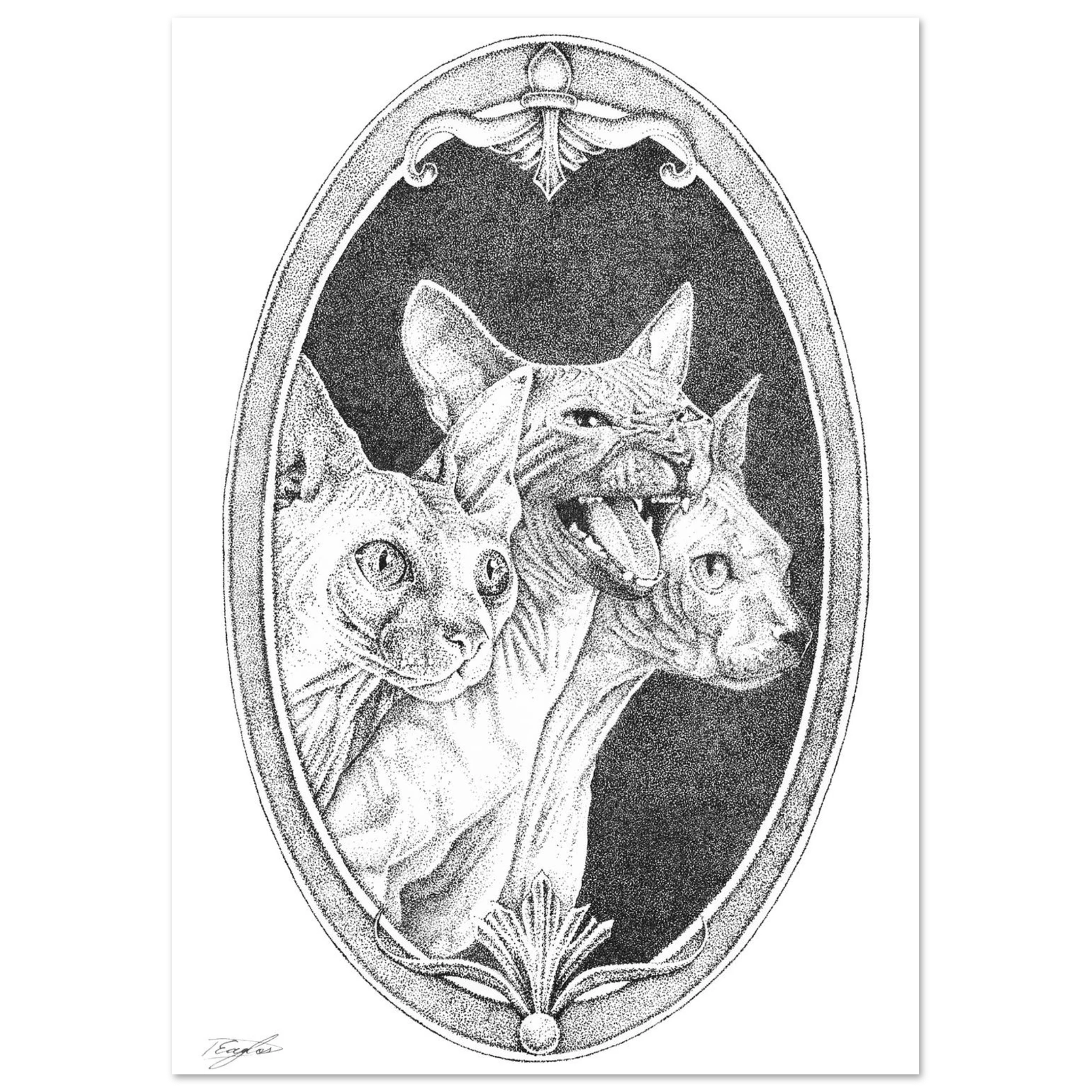 cd48171b-ecef-4103-bab9-092ef4b5f505