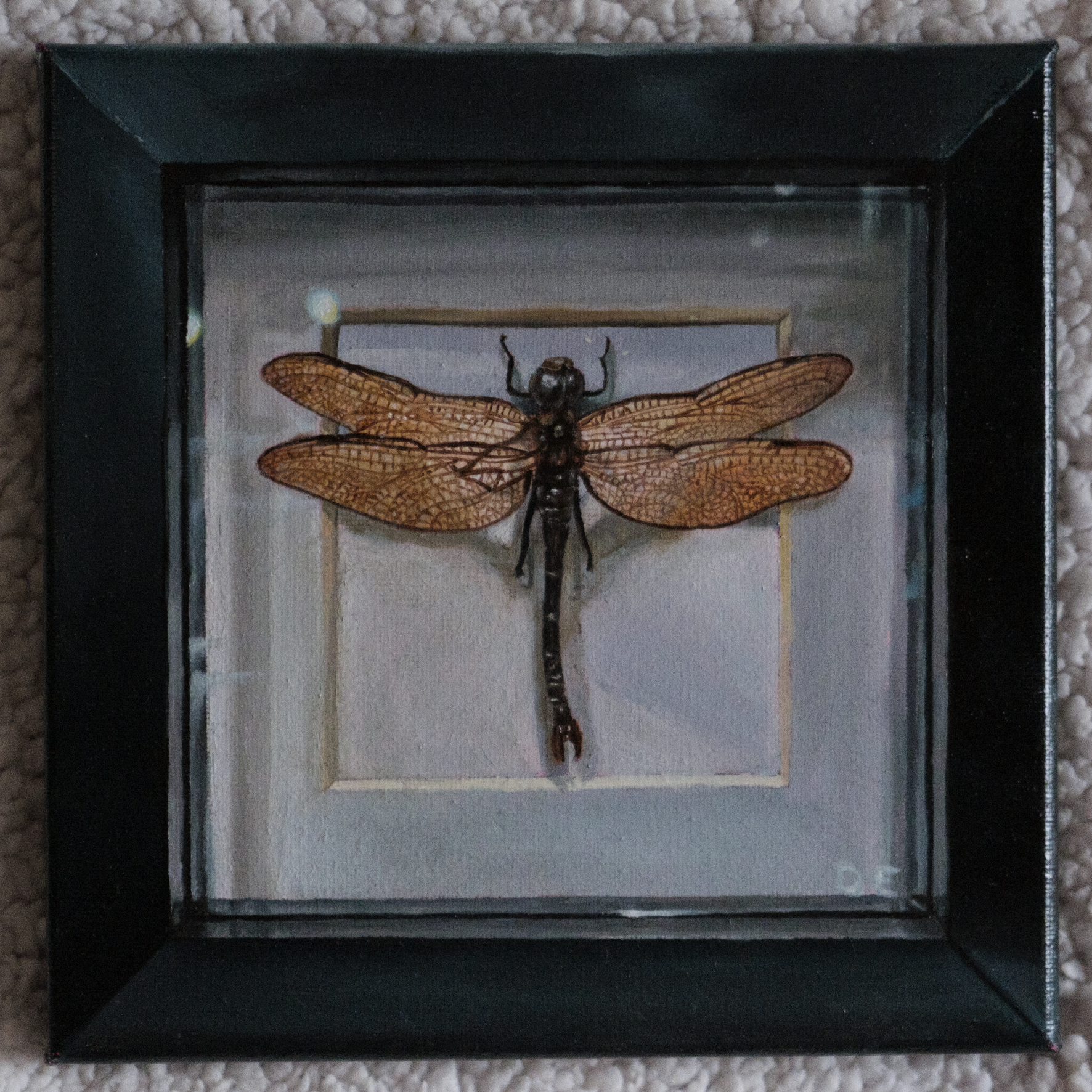 Little Dragonfly - Original Oil Painting