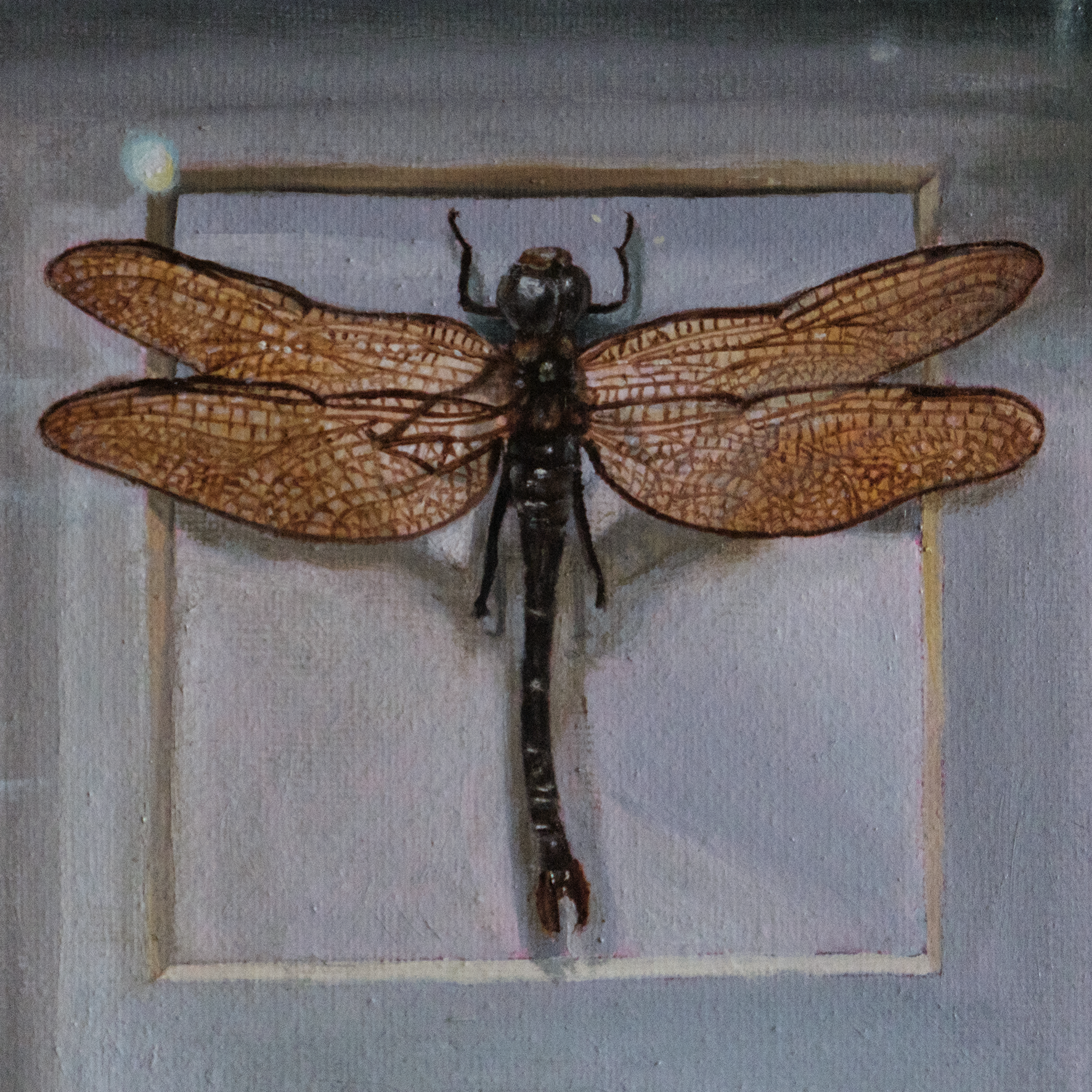 Little Dragonfly - Original Oil Painting