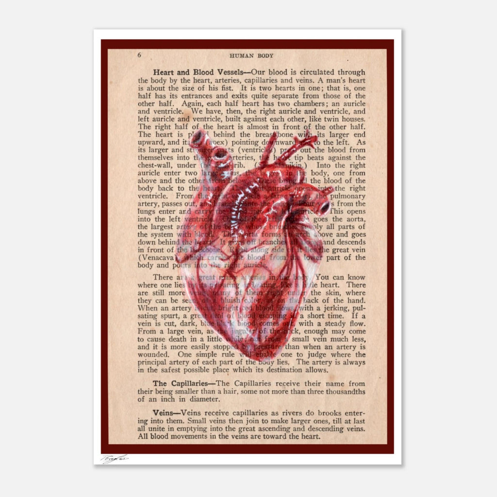 e0f85041-9d10-40c2-97f0-cde4c6644f29