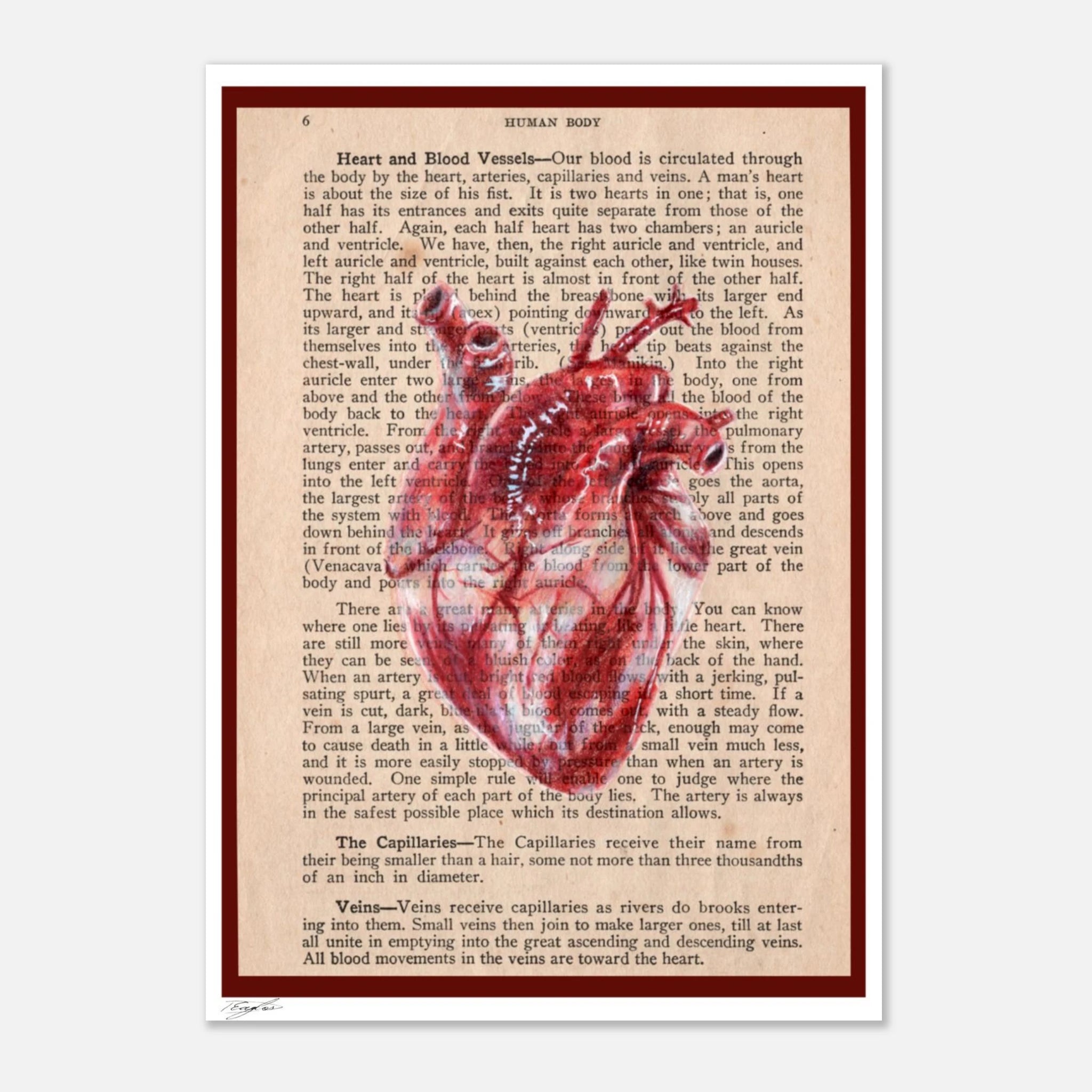 e0f85041-9d10-40c2-97f0-cde4c6644f29