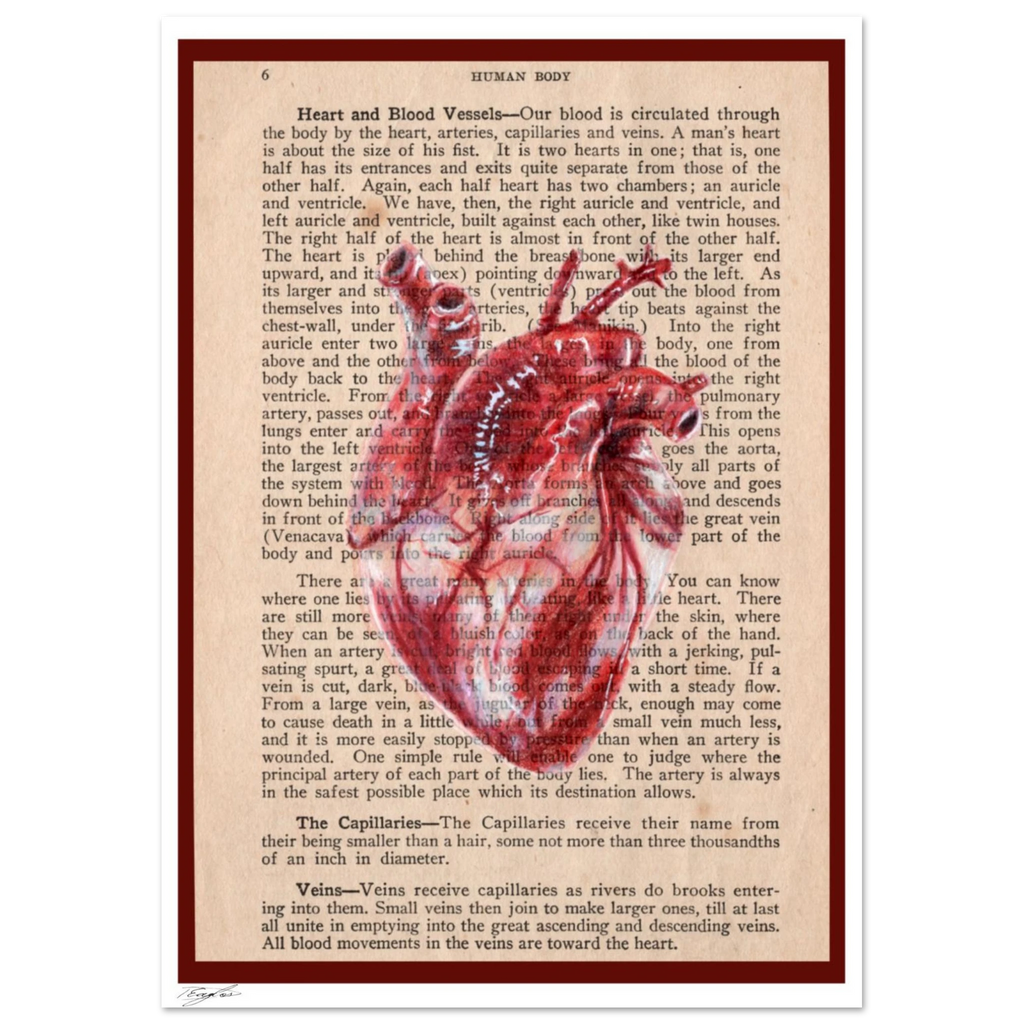 f9d1e83a-b687-40de-8cbc-291c66299706