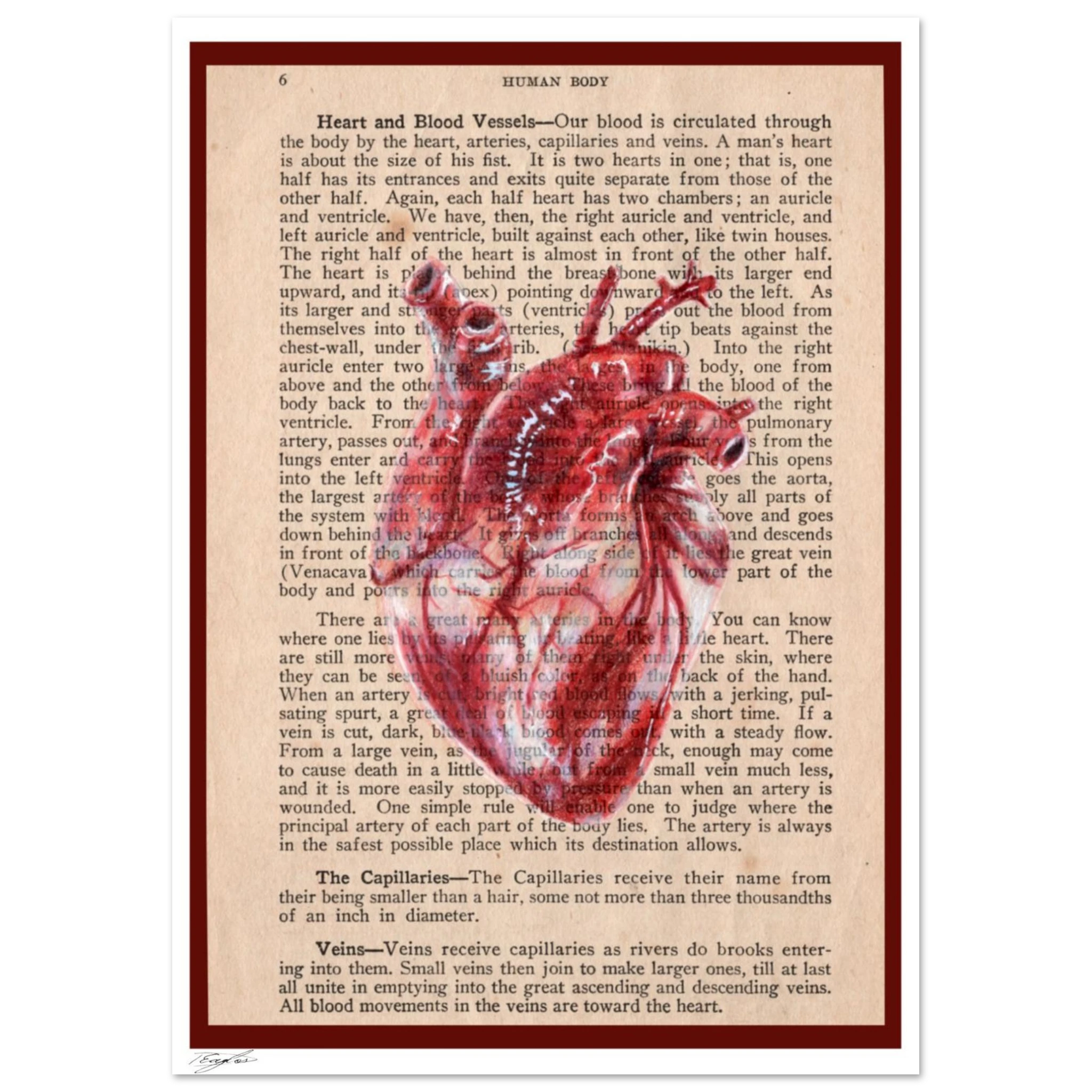 f9d1e83a-b687-40de-8cbc-291c66299706