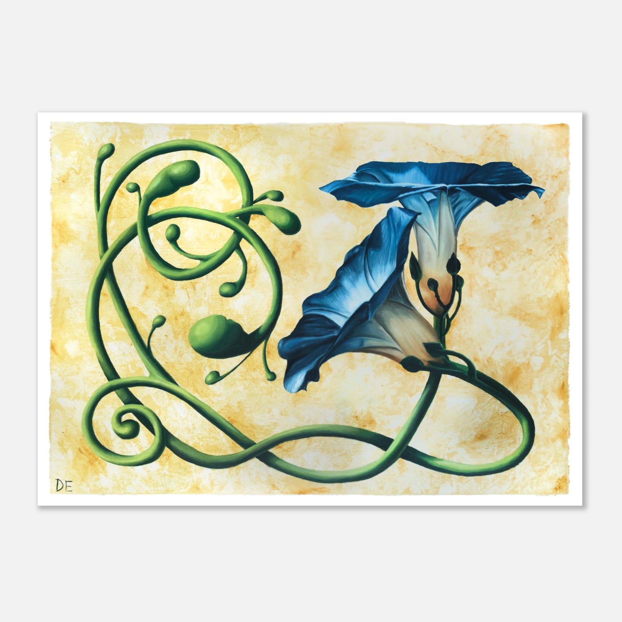 fe24f039-95d7-4ea3-aed7-8c4995eb4fa6